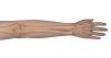 Extensor Indicis Proprius (EIP)